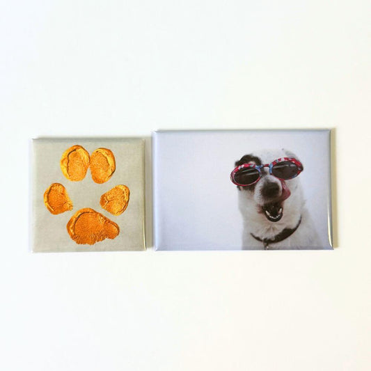 Mini Mixed Magnet Set