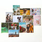 Image shows a flat lay of a set of 12 rectangle photo magnets. Demonstrating vibrancy and variety in what could be displayed on the magnets. 